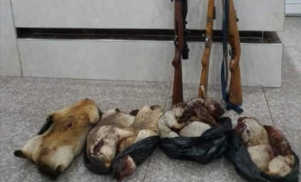 Ховд аймагт нас барсан иргэнд тарваган тахлын сэжиг илэрчээ